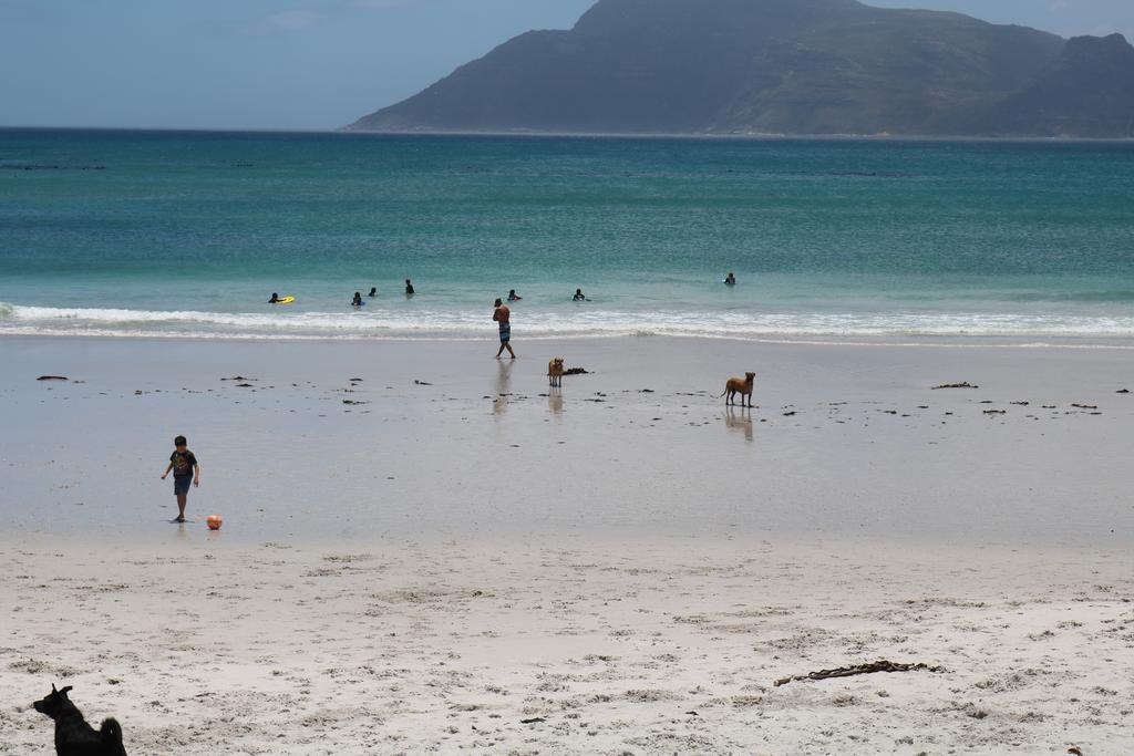 Goose Green Lodge Noordhoek Luaran gambar